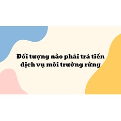 Đối tượng nào phải trả tiền dịch vụ môi trường rừng?