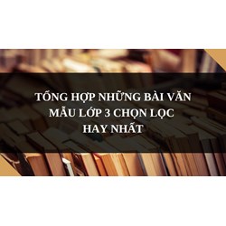 Tổng hợp những bài văn mẫu lớp 3 chọn lọc hay nhất