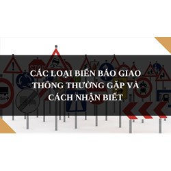 Các loại biển báo giao thông thường gặp và cách nhận biết