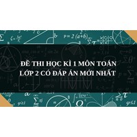 Đề thi học kì 1 môn Toán lớp 2 có đáp án mới nhất