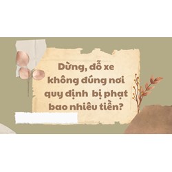 Dừng, đỗ xe không đúng nơi quy định bị phạt bao nhiêu tiền?