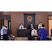 Trường hợp nào được hoãn thi hành án tử hình?