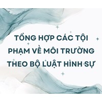 Tổng hợp các tội phạm về môi trường theo Bộ luật Hình sự