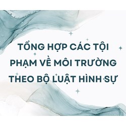 Tổng hợp các tội phạm về môi trường theo Bộ luật Hình sự