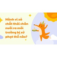 Hành vi xả chất thải chăn nuôi ra môi trường bị xử phạt thế nào?