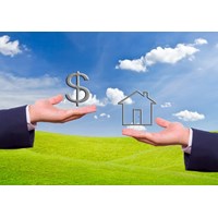 Tổ chức được Nhà nước giao đất không thu tiền sử dụng đất có được thế chấp quyền sử dụng đất không?
