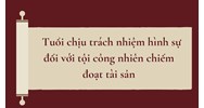 Tuổi chịu trách nhiệm hình sự đối với tội công nhiên chiếm đoạt tài sản