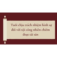 Tuổi chịu trách nhiệm hình sự đối với tội công nhiên chiếm đoạt tài sản