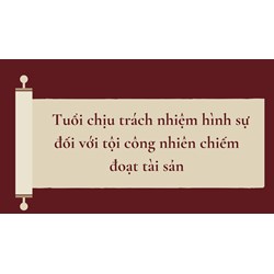 Tuổi chịu trách nhiệm hình sự đối với tội công nhiên chiếm đoạt tài sản