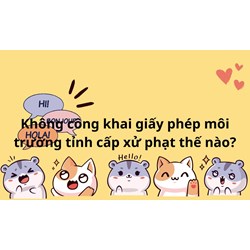 Không công khai giấy phép môi trường tỉnh cấp bị phạt bao nhiêu?
