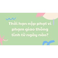 Thời hạn nộp phạt vi phạm giao thông tính từ ngày nào?