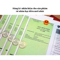 Đăng ký nhãn hiệu cho sản phẩm từ nhân hạt điều mới nhất