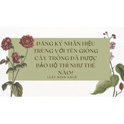 Đăng ký nhãn hiệu trùng với tên giống cây trồng đã được bảo hộ thì như thế nào?