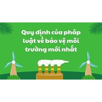 Quy định của pháp luật về bảo vệ môi trường mới nhất