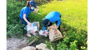 Hướng dẫn một số tiêu chí môi trường của xã nông thôn mới