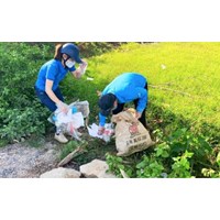 Hướng dẫn một số tiêu chí môi trường của xã nông thôn mới