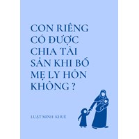 Con riêng có được chia tài sản khi bố mẹ ly hôn không?