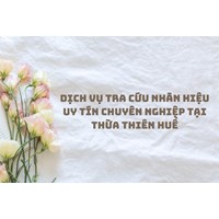 Dịch vụ tra cứu nhãn hiệu uy tín chuyên nghiệp tại Thừa Thiên Huế
