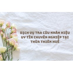 Dịch vụ tra cứu nhãn hiệu uy tín chuyên nghiệp tại Thừa Thiên Huế