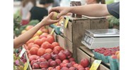 Dịch vụ điều chỉnh giấy chứng nhận đầu tư thực hiện quyền phân phối bán buôn, bán lẻ hàng hóa