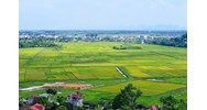 Các loại giấy tờ dùng để xác định việc “sử dụng đất ổn định”