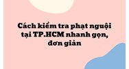 Cách kiểm tra phạt nguội tại TP.HCM nhanh gọn, đơn giản