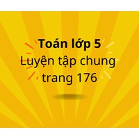 Toán lớp 5 trang 176 Luyện tập chung (tiếp) có đáp án