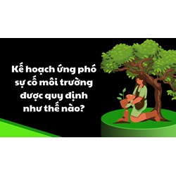 Kế hoạch ứng phó sự cố môi trường được quy định như thế nào?