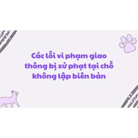Các lỗi vi phạm giao thông bị xử phạt tại chỗ không lập biên bản