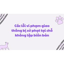 Các lỗi vi phạm giao thông bị xử phạt tại chỗ không lập biên bản
