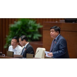 Công ty có dưới 30% vốn nhà nước có phải áp dụng luật đấu thầu khi mua sắm hàng hóa?
