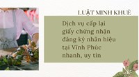 Dịch vụ cấp lại giấy chứng nhận đăng ký nhãn hiệu tại Vĩnh Phúc nhanh, uy tín