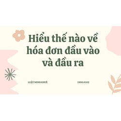 Hiểu thế nào về hóa đơn đầu vào và đầu ra