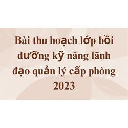 Bài thu hoạch lớp bồi dưỡng kỹ năng lãnh đạo quản lý cấp phòng