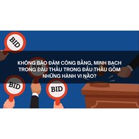 Không bảo đảm công bằng, minh bạch trong đấu thầu trong đấu thầu gồm những hành vi nào?