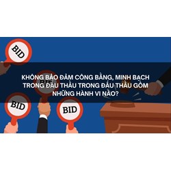 Không bảo đảm công bằng, minh bạch trong đấu thầu trong đấu thầu gồm những hành vi nào?