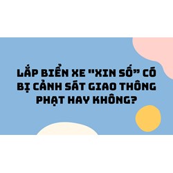 Lắp biển xe "xin số” có bị Cảnh sát giao thông phạt hay không?