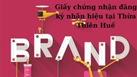 Dịch vụ cấp lại giấy chứng nhận đăng ký nhãn hiệu tại Thừa Thiên Huế nhanh, uy tín