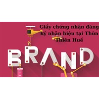 Dịch vụ cấp lại giấy chứng nhận đăng ký nhãn hiệu tại Thừa Thiên Huế nhanh, uy tín