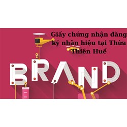 Dịch vụ cấp lại giấy chứng nhận đăng ký nhãn hiệu tại Thừa Thiên Huế nhanh, uy tín