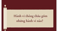 Hành vi thông thầu gồm những hành vi nào?