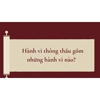 Hành vi thông thầu gồm những hành vi nào?