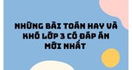 Những bài toán hay và khó lớp 3 có đáp án mới nhất