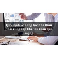 Quy định về năng lực nhà thầu phải cung cấp khi đấu thầu qua mạng