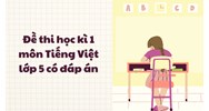 Đề thi học kì 1 môn Tiếng Việt lớp 5 có đáp án chi tiết