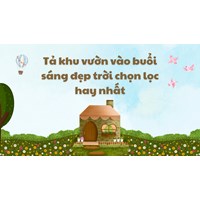 Tả khu vườn vào buổi sáng đẹp trời chọn lọc hay nhất
