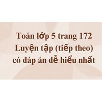 Toán lớp 5 trang 172 Luyện tập (tiếp theo) có đáp án dễ hiểu nhất