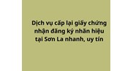 Dịch vụ cấp lại giấy chứng nhận đăng ký nhãn hiệu tại Sơn La nhanh, uy tín