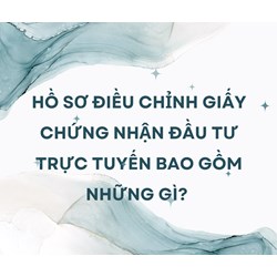 Hồ sơ điều chỉnh Giấy chứng nhận đầu tư trực tuyến bao gồm những gì?