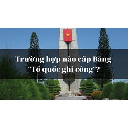 Trường hợp nào cấp Bằng "Tổ quốc ghi công"?